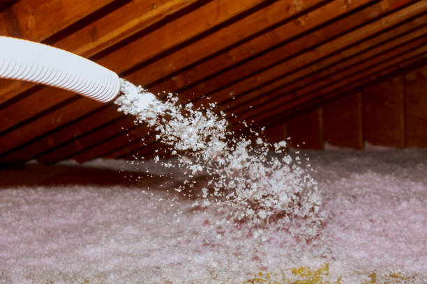 Best Types of Insulation in North Shore, VA